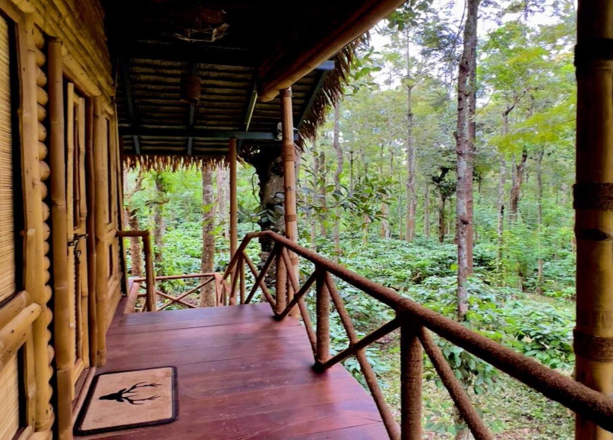 Adrak Mountain Mist Forest Resort Pulpally Экстерьер фото