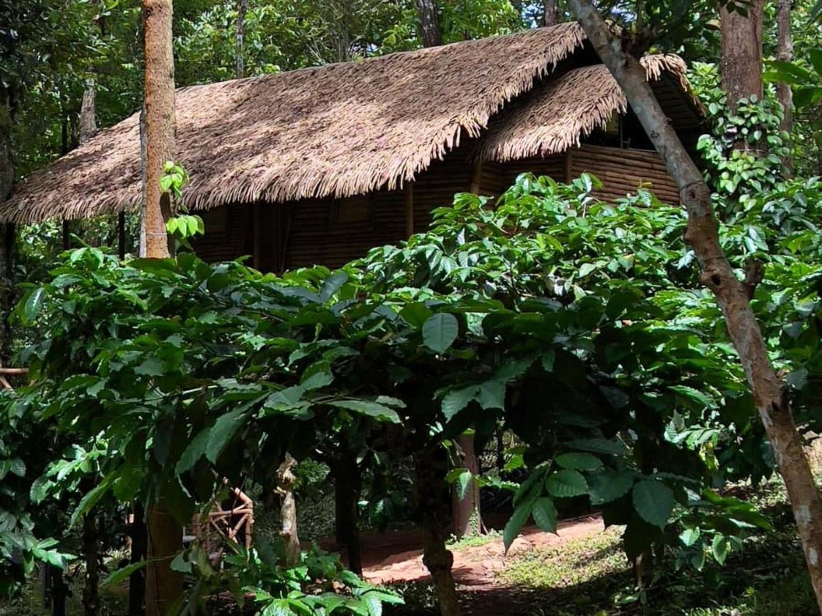 Adrak Mountain Mist Forest Resort Pulpally Экстерьер фото