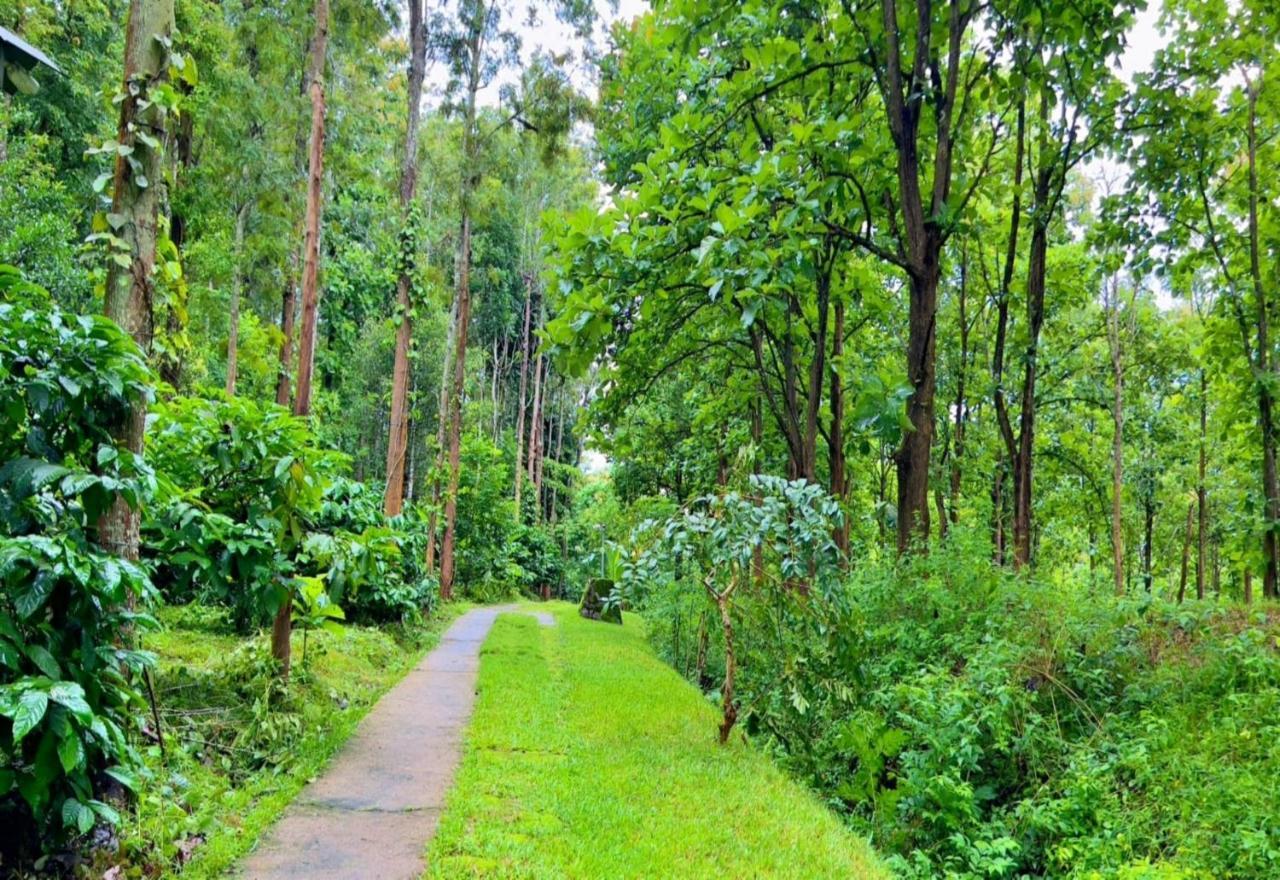 Adrak Mountain Mist Forest Resort Pulpally Экстерьер фото
