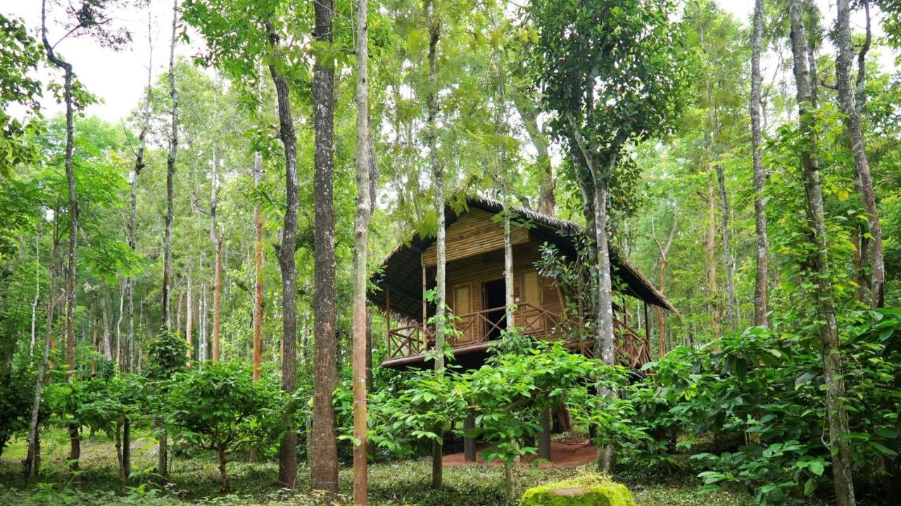 Adrak Mountain Mist Forest Resort Pulpally Экстерьер фото