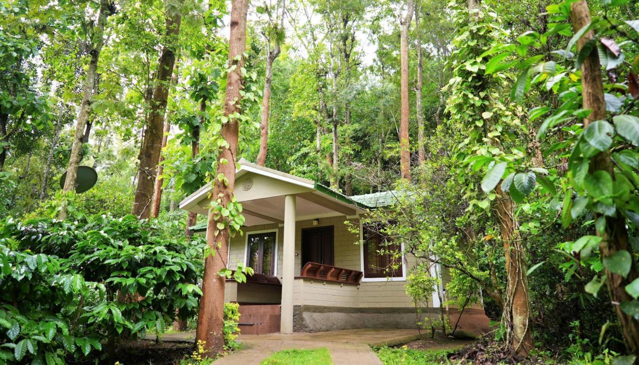 Adrak Mountain Mist Forest Resort Pulpally Экстерьер фото