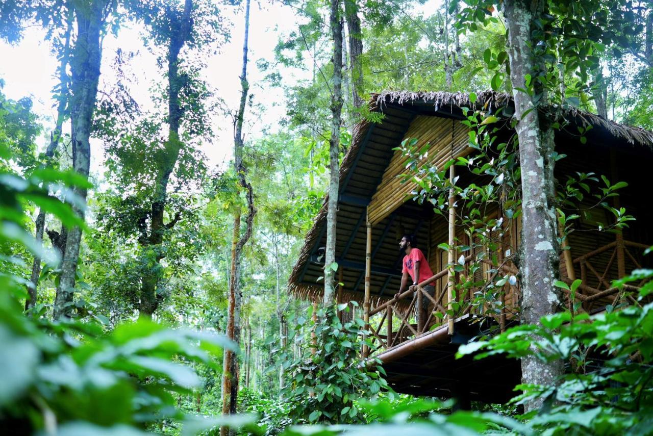 Adrak Mountain Mist Forest Resort Pulpally Экстерьер фото